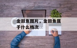 金鼓鱼图片，金鼓鱼属于什么档次
