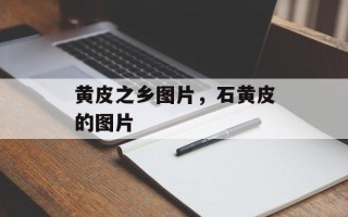 黄皮之乡图片，石黄皮的图片