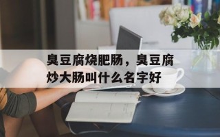 臭豆腐烧肥肠，臭豆腐炒大肠叫什么名字好