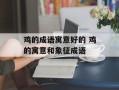 鸡的成语寓意好的 鸡的寓意和象征成语
