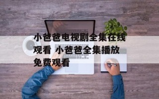 小爸爸电视剧全集在线观看 小爸爸全集播放免费观看
