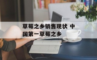 草莓之乡销售现状 中国第一草莓之乡