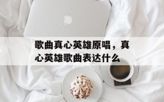 歌曲真心英雄原唱，真心英雄歌曲表达什么
