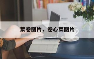 菜卷图片，卷心菜图片