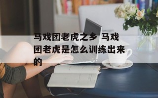 马戏团老虎之乡 马戏团老虎是怎么训练出来的