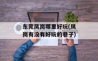 东莞凤岗哪里好玩(凤岗有没有好玩的巷子)