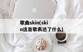 歌曲skin(skin这首歌表达了什么)