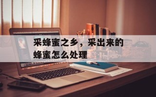 采蜂蜜之乡，采出来的蜂蜜怎么处理