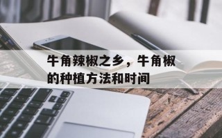 牛角辣椒之乡，牛角椒的种植方法和时间