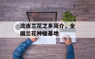 流连兰花之乡简介，全国兰花种植基地
