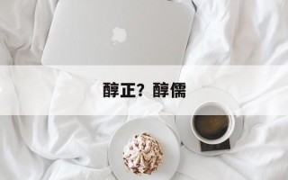 醇正？醇儒