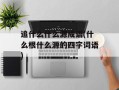 追什么什么源成语(什么根什么源的四字词语)