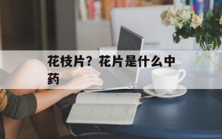 花枝片？花片是什么中药