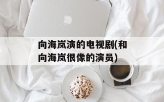 向海岚演的电视剧(和向海岚很像的演员)