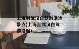 上海到武汉自驾游沿途景点(上海至武汉自驾游沿途)