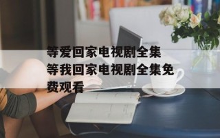 等爱回家电视剧全集 等我回家电视剧全集免费观看