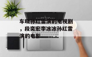 车晓孙红雷演的电视剧，段奕宏李冰冰孙红雷演的电影