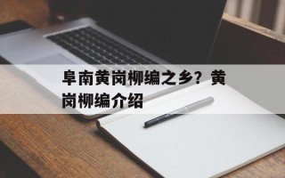 阜南黄岗柳编之乡？黄岗柳编介绍