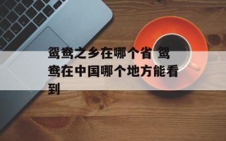 鸳鸯之乡在哪个省 鸳鸯在中国哪个地方能看到