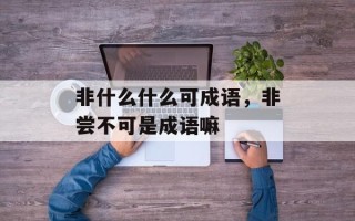 非什么什么可成语，非尝不可是成语嘛