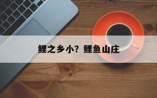 鲤之乡小？鲤鱼山庄