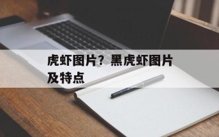 虎虾图片？黑虎虾图片及特点