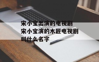 宋小宝出演的电视剧 宋小宝演的木匠电视剧叫什么名字