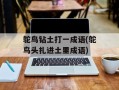鸵鸟钻土打一成语(鸵鸟头扎进土里成语)