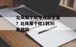北风那个吹电视剧全集？北风那个吹1到36集回放