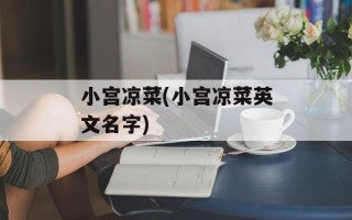 小宫凉菜(小宫凉菜英文名字)