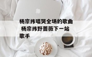 杨宗纬唱哭全场的歌曲 杨宗纬野蔷薇下一站歌手