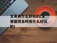 文莱有什么好玩的(文莱值得去吗有什么好玩的)