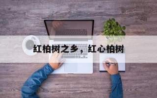 红柏树之乡，红心柏树