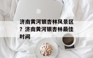 济南黄河银杏林风景区？济南黄河银杏林最佳时间