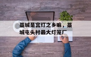 藁城是宫灯之乡嘛，藁城屯头村最大灯笼厂