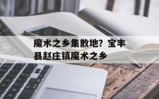 魔术之乡集散地？宝丰县赵庄镇魔术之乡