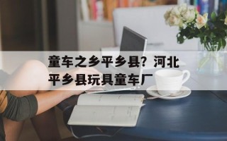 童车之乡平乡县？河北平乡县玩具童车厂