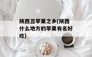 陕西丑苹果之乡(陕西什么地方的苹果有名好吃)