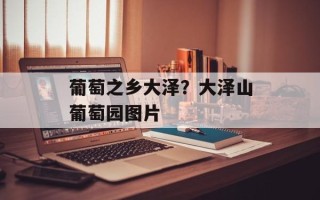 葡萄之乡大泽？大泽山葡萄园图片