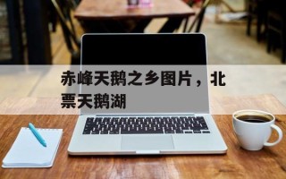 赤峰天鹅之乡图片，北票天鹅湖