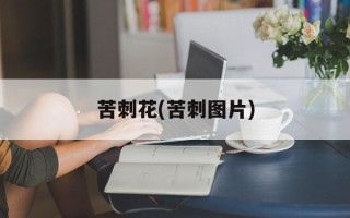 苦刺花(苦刺图片)