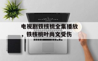 电视剧铁核桃全集播放，铁核桃叶尚文受伤