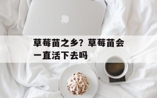 草莓苗之乡？草莓苗会一直活下去吗