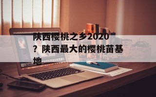 陕西樱桃之乡2020？陕西最大的樱桃苗基地