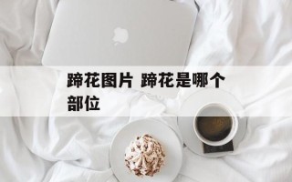 蹄花图片 蹄花是哪个部位