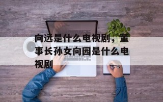 向远是什么电视剧，董事长孙女向园是什么电视剧