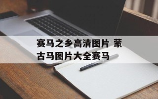 赛马之乡高清图片 蒙古马图片大全赛马