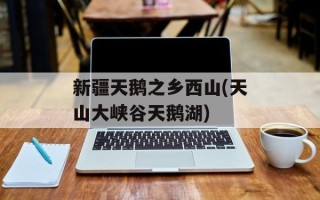 新疆天鹅之乡西山(天山大峡谷天鹅湖)
