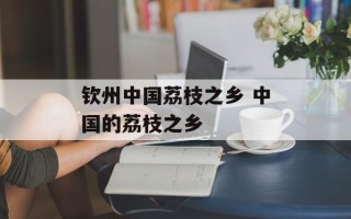 钦州中国荔枝之乡 中国的荔枝之乡