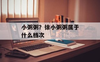 小粥粥？徐小粥粥属于什么档次